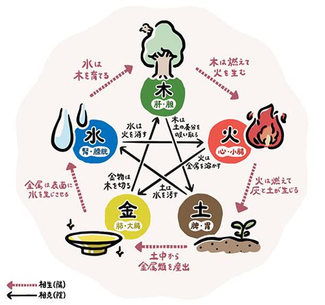 五行色体表とは|五行色体表とは？実際の五行色体表をを見て覚えよう 